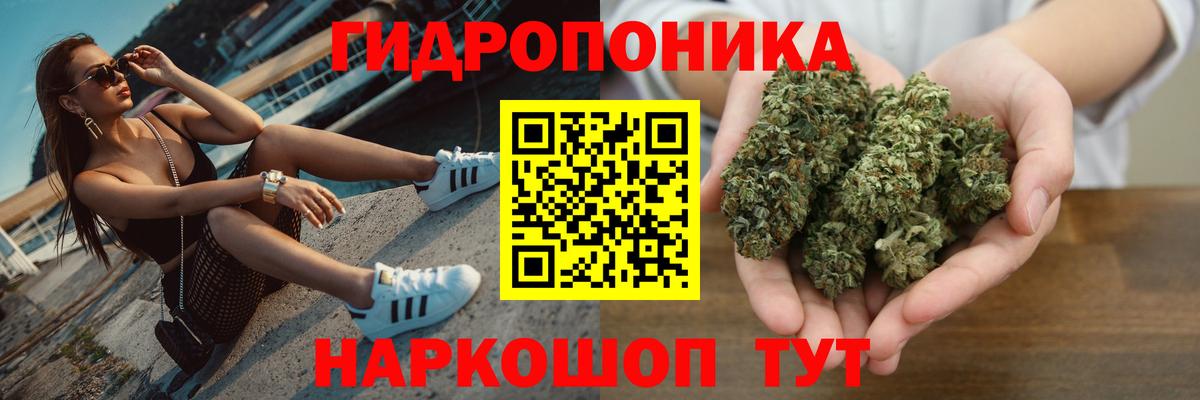 Бошки Шишки конопля Дюртюли